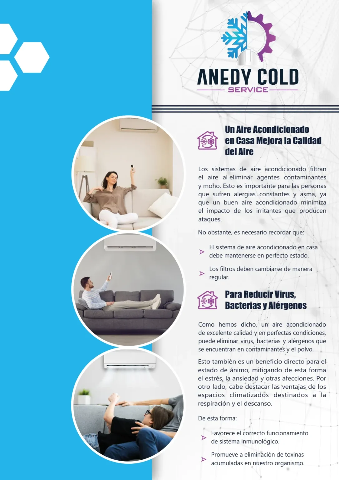 Melcard - Diseño Web Y Marketing Digital - Diseño Web Y Marketing Digital Para Negocios - Anedy Cold Brochure 26 08 2024 5