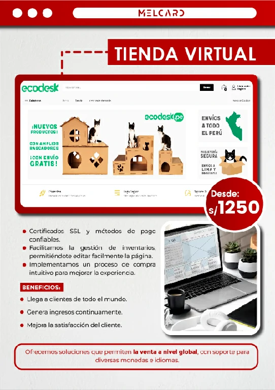 Melcard - Diseño Web Y Marketing Digital - Diseño Web Y Marketing Digital Para Negocios - Brochure Servicios Web 05