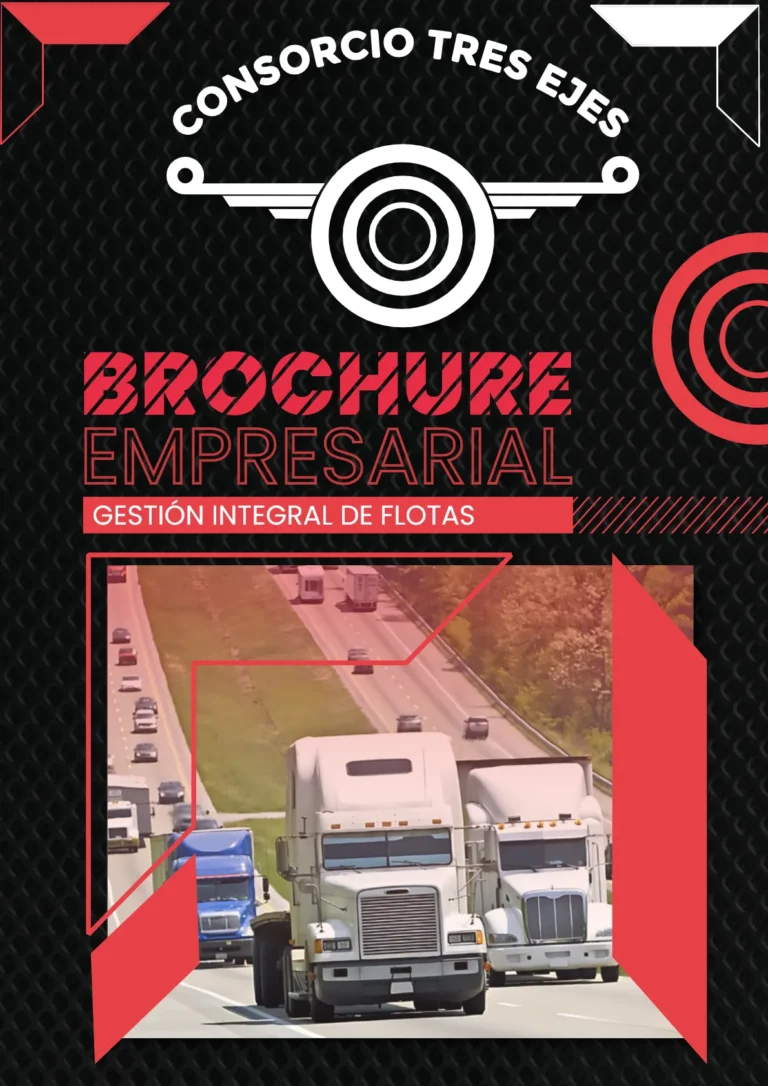 DISEÑO DE BROCHURE DE CONSORCIO TRES EJES_2_09_24_1