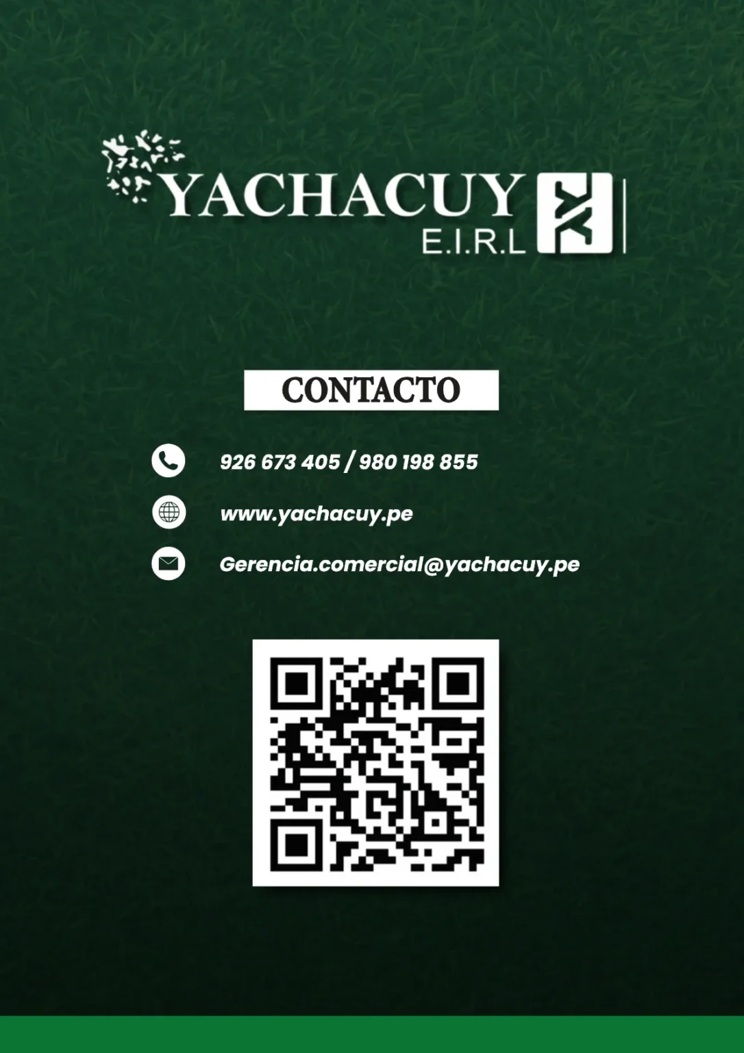 Melcard - Diseño Web Y Marketing Digital - Diseño Web Y Marketing Digital Para Negocios - Yachacuy Eirl Brochure 02 09 2024 12