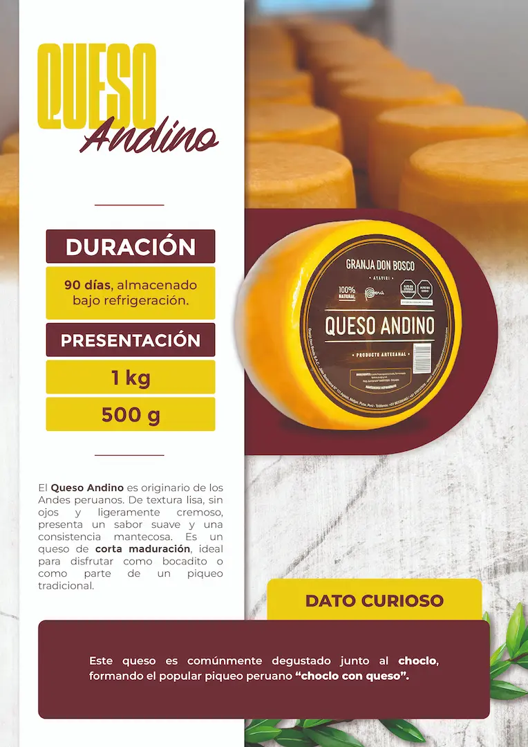 DISEÑO DE CATALOGO MELCARD 12 BROCHURE_GRANJA DON BOSCO_19_05_25_13