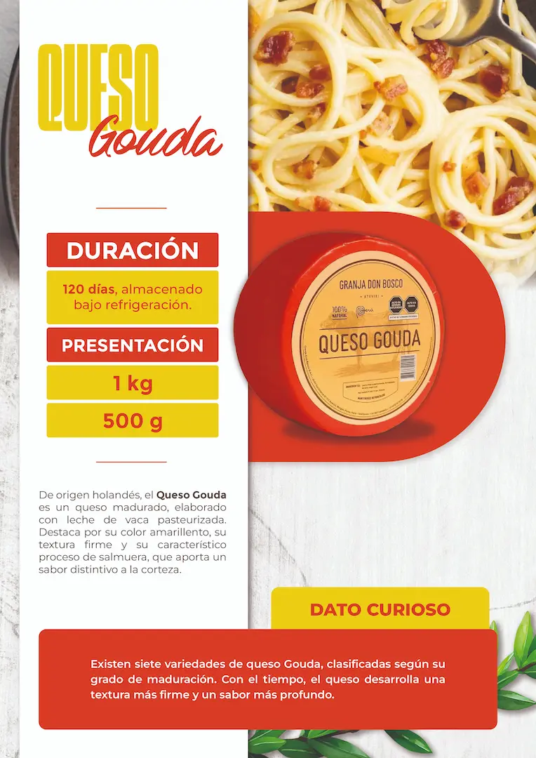 DISEÑO DE CATALOGO MELCARD 13 BROCHURE_GRANJA DON BOSCO_19_05_25_14